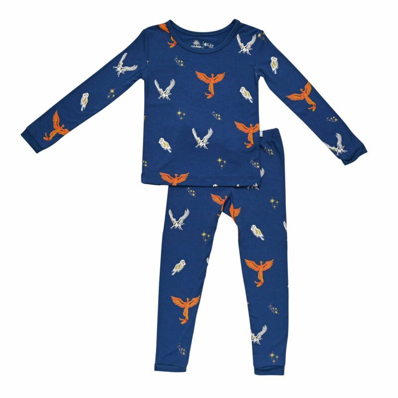 Kyte BABY Toddler Pajama Set in Flight