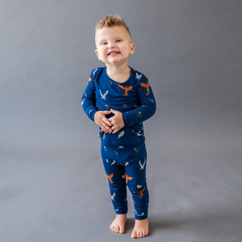 Toddler Pajama Set in Flight from Kyte BABY