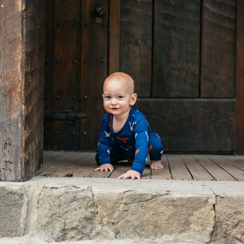 Toddler Pajama Set in Flight