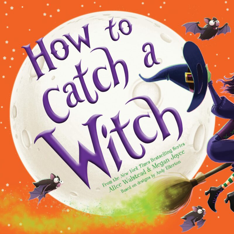 Sourcebooks How to Catch a Witch Hardcover Book