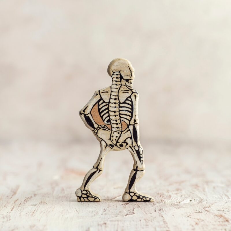 Wooden Skeleton Figurine from Wooden Caterpillar Toys