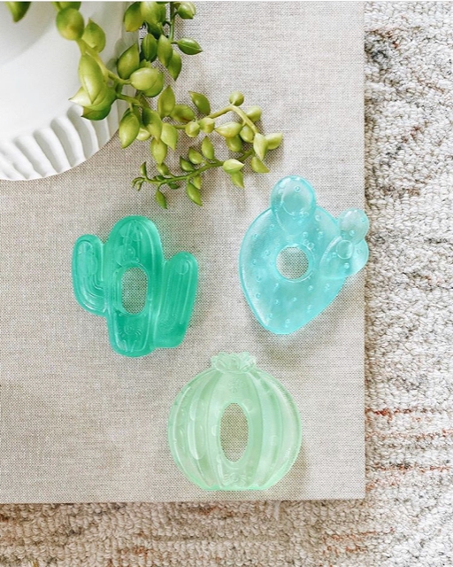 Itzy Ritzy Cutie Coolers Water Filled Cactus Teethers (3-pack)