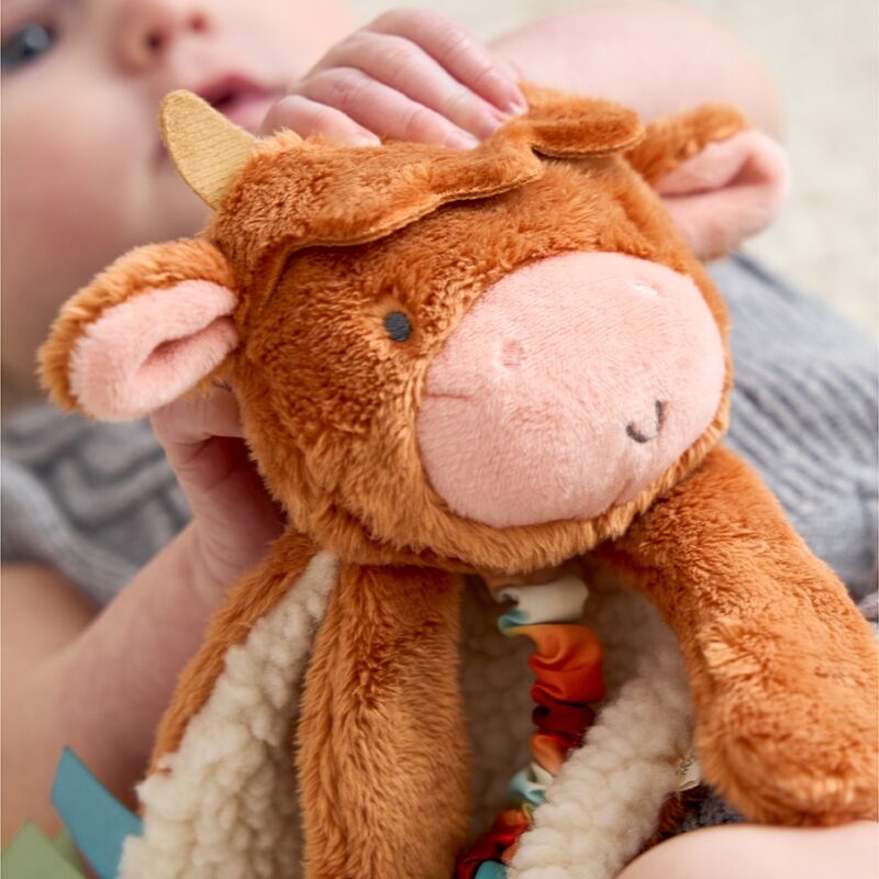 Highland Cow Itzy Friends Lovey Plush from Itzy Ritzy