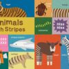 Sourcebooks My First Lift-the-Flap Animal Board Book part of our  collection