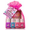 Piggy Paint Birthday Cake Shake Gift Set