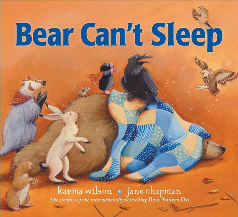 Bear Can't Sleep Hardcover Book