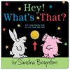 Hey! What's That? Board Book