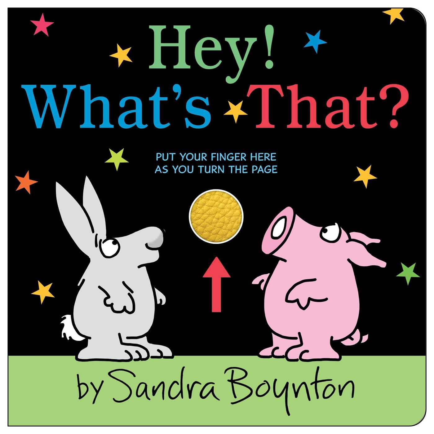 Hey! What's That? Board Book