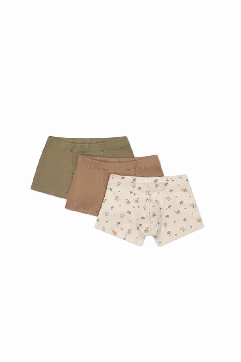 Jamie Kay Organic Cotton 3-Pack Trunk In Spiced