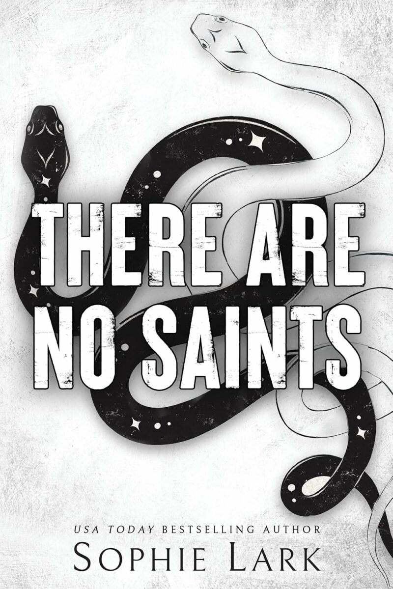 Sourcebooks There Are No Saints by Sophie Lark (Sinners Duet Book 1)