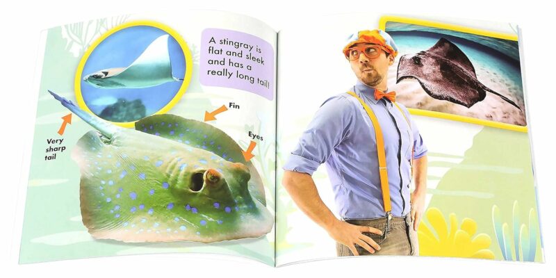 Blippi: Let's See Animals! Paperback Book made by Simon & Schuster