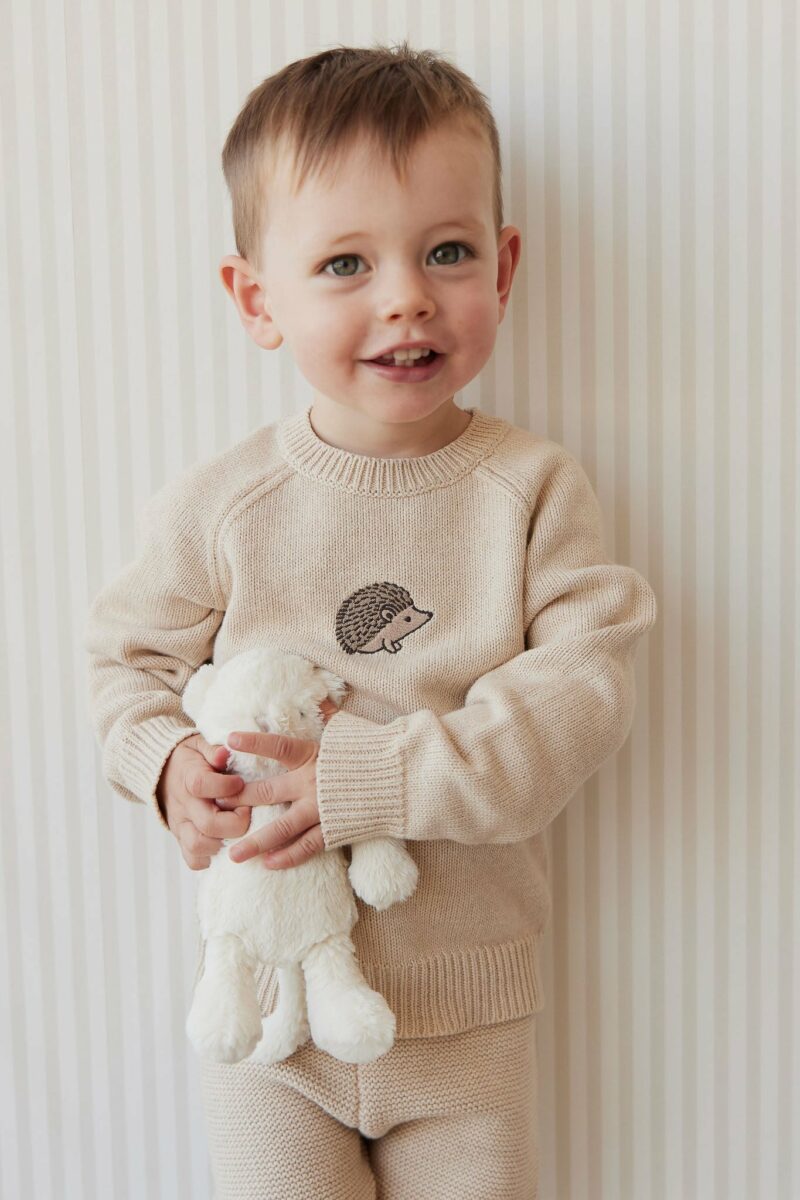 Jamie Kay Ethan Jumper in Oatmeal Marle Hedgehog 