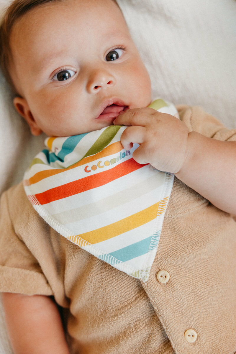 Copper Pearl CoComelon Friends Bandana Bib Set 4-Pack Feeding