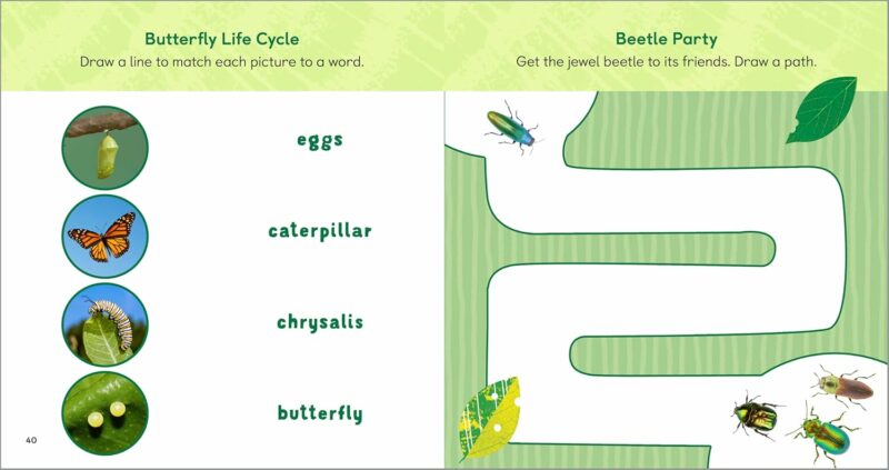 Backyard Bug Book for Kids made by