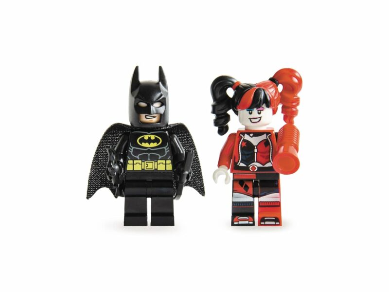 Sourcebooks LEGO DC Super Heroes Batman vs Harley Quinn Children's Books