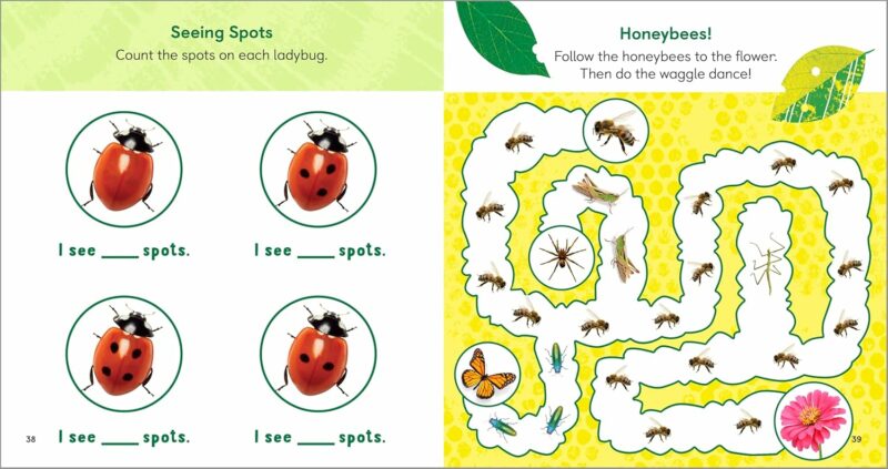 Backyard Bug Book for Kids from