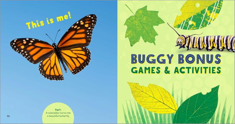 Backyard Bug Book for Kids Children's Books