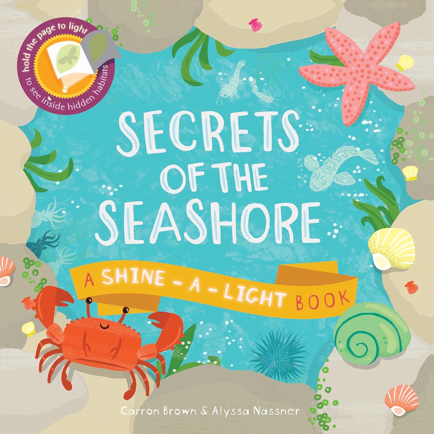 Shine-A-Light: Secrets of the Seashore