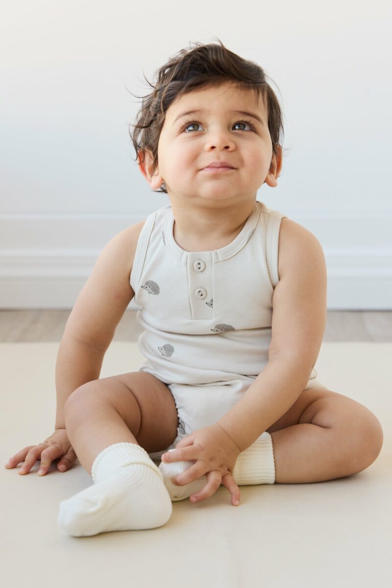 Jamie Kay Pima Cotton Noah Playsuit in Henry Hedgehog Birch 