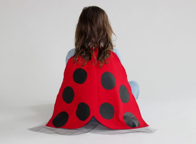 Ladybug Wings from Jack Be Nimble