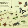 Bugs Everywhere from Penguin Random House