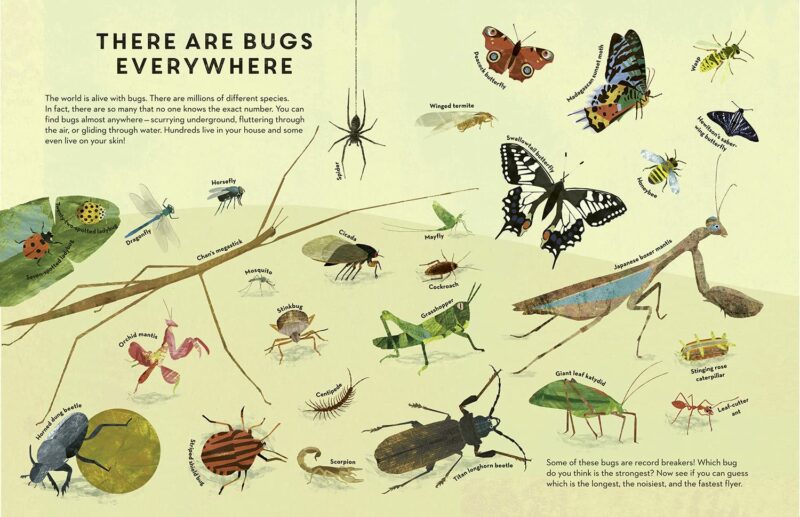 Bugs Everywhere from Penguin Random House