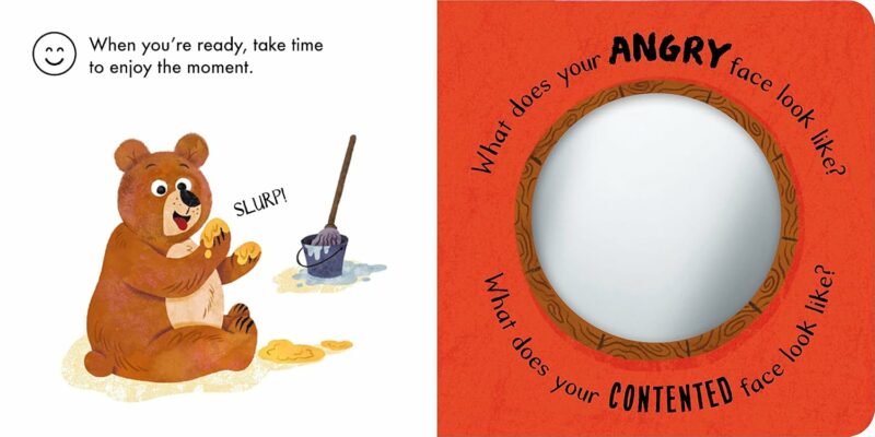 Touch & Feelings: Angry Bear made by Penguin Random House