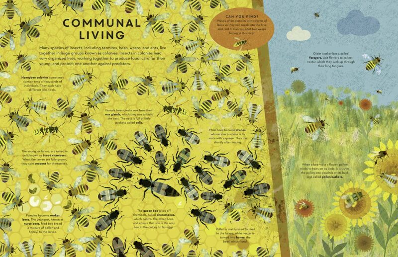 Bugs Everywhere made by Penguin Random House