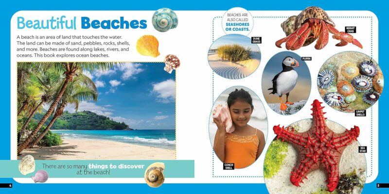 Little Kids First Nature Guide: Explore The Beach from Penguin Random House