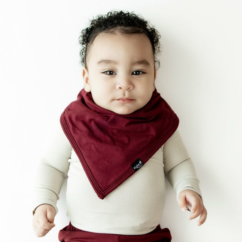 Kyte BABY Bib in Burgundy