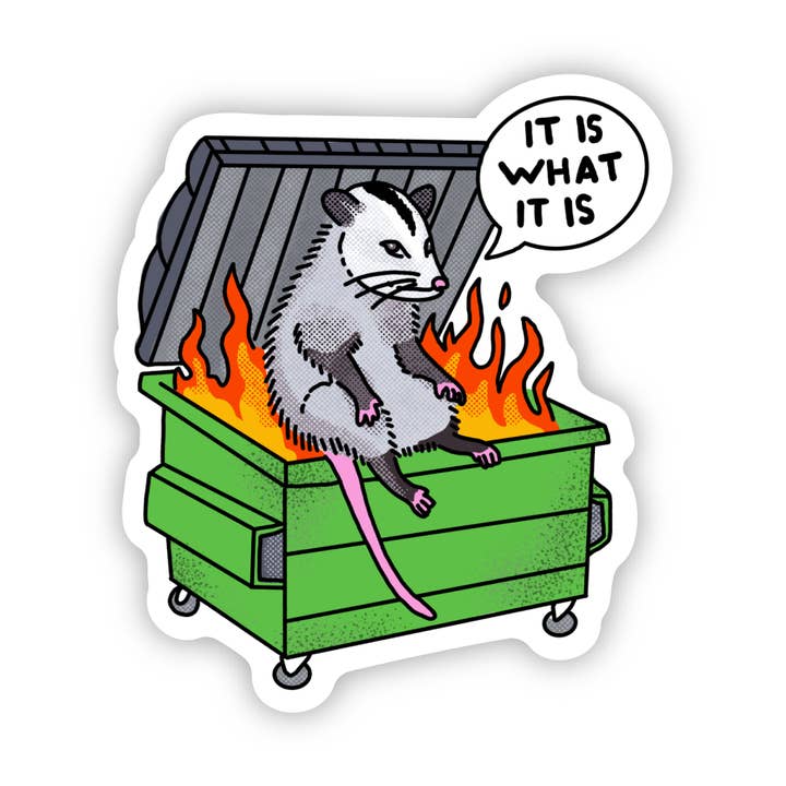 Big Moods It Is What It Is Possum Dumpster Fire Sticker