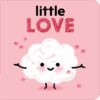 Little Love Board Book