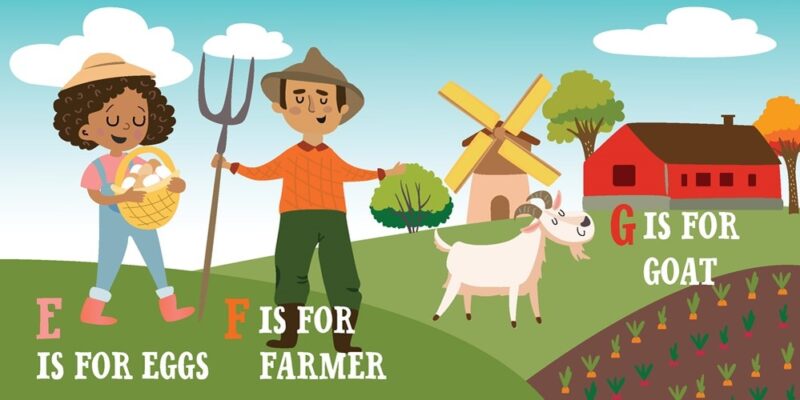 F Is For Farm Board Book made by